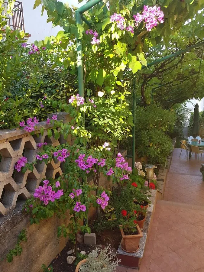 Apartmani Grguric Kornic Croatia